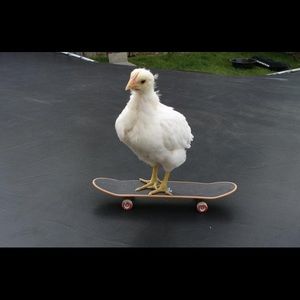 Meet your Posher, Emily